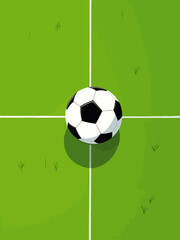  Soccer ball lying on green field near white line top view