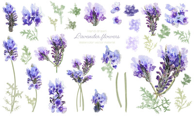 水彩で描いたラベンダーのパーツ素材セット © 桜 みずき