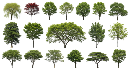 Collection of diverse deciduous trees with lush green foliage isolated on transparent background