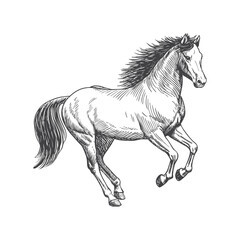 A sketch art of a horse running, showing the initial outline.	