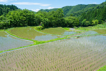 田植えを終えた若桜氷ノ山の棚田の風景 鳥取県 若桜町