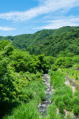 Obraz premium 田植えを終えた若桜氷ノ山の棚田の風景 鳥取県 若桜町