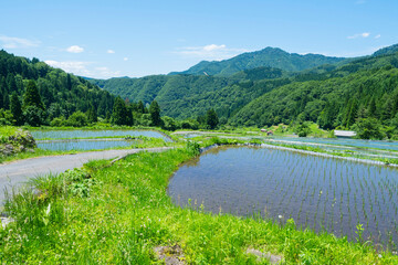 田植えを終えた若桜氷ノ山の棚田の風景 鳥取県 若桜町