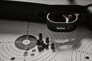 Pistol trigger target close-up sport sports shooter marksman hobby defense firearm rifle ammunition...