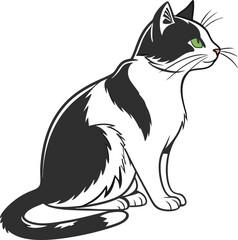 Cat Vector Adobe Illustrator Artwork