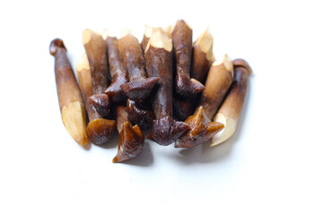 Termite mushrooms with long stems, white tips, and dark brown caps.