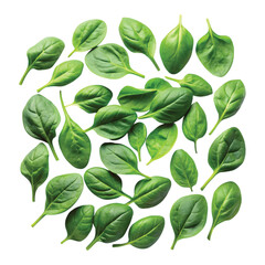 Obraz premium Fresh Spinach Leaves: Flatlay fresh spinach leaves scattered randomly, high resolution PNG cutout