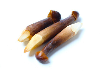 Termite mushrooms with long stems, white tips, and dark brown caps.