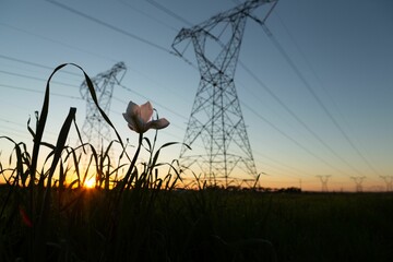 The evening electricity pylon silhouette