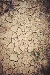 High angle view of dried field