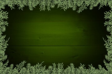 Plants forming frame against wooden wall