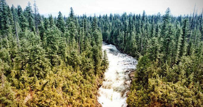 Fototapeta River is flowing through mountain gorge in flat illustration showing cascading waterfall and forest