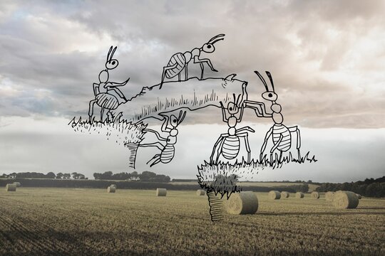 Fototapeta Working ants over countryside
