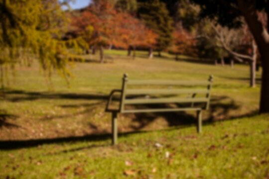 Fototapeta Green metal bench is resting on grassy lawn in flat design with autumn leaves filtering sunlight