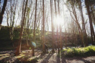 Person riding bicycle in forest