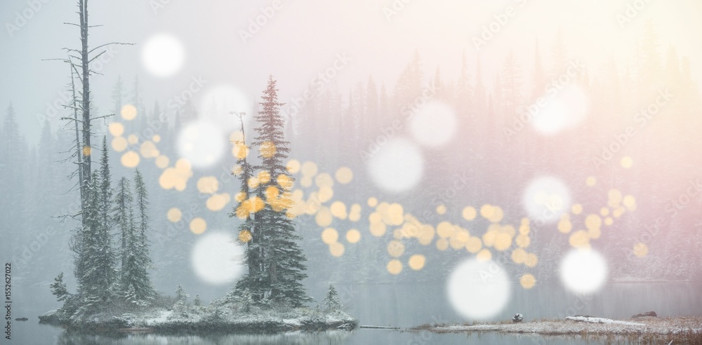 Poster trees in forest with bokeh in foreground