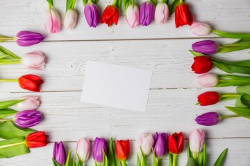 Flat design is showing top-down white-painted tabletop with red pink purple tulip frame, blank card