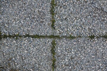 Full frame of concrete floor with moss