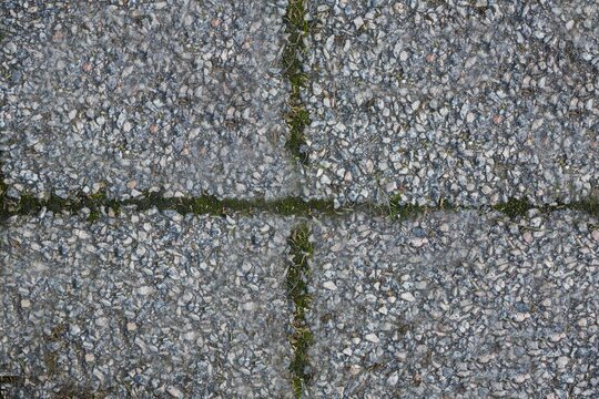 Fototapeta Full frame of concrete floor with moss