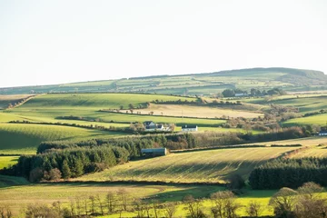 Gardinen Scenic landscape with green hills © vectorfusionart