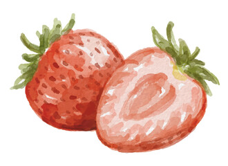 Watercolor strawberry fruit hand painted