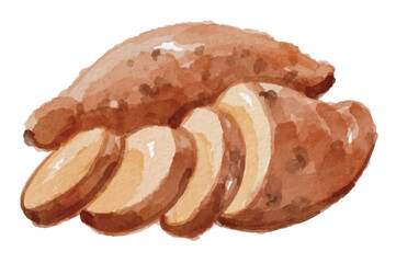 Watercolor sweet potato hand painted