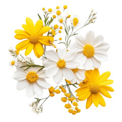 Obraz premium Vibrant yellow and white daisies a colorful floral bouquet abstract background