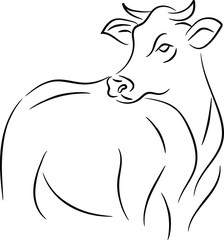 Simple Line Art Drawing of a Cow