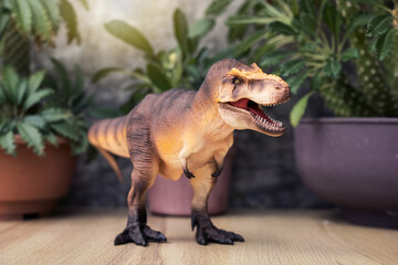 T-rex Dinosaur toy. Tyrannosaurus rex with Dorstenia Plant in plastic pot simulate the atmosphere...
