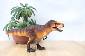 T-rex Dinosaur toy. Tyrannosaurus rex with Dorstenia Plant in plastic pot simulate the atmosphere...