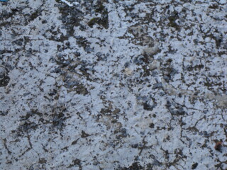 Rough and weathered concrete texture with moss, cracks, and dark stains. Ideal for background,...