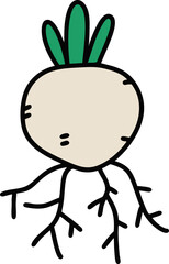 Root