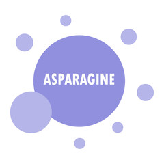Asparagine Amino Acid Molecule 