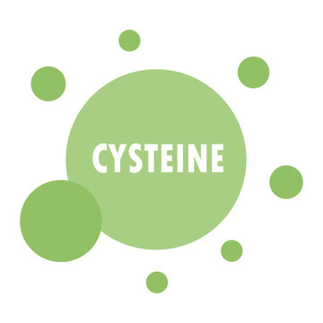 cysteine amino acid molecule