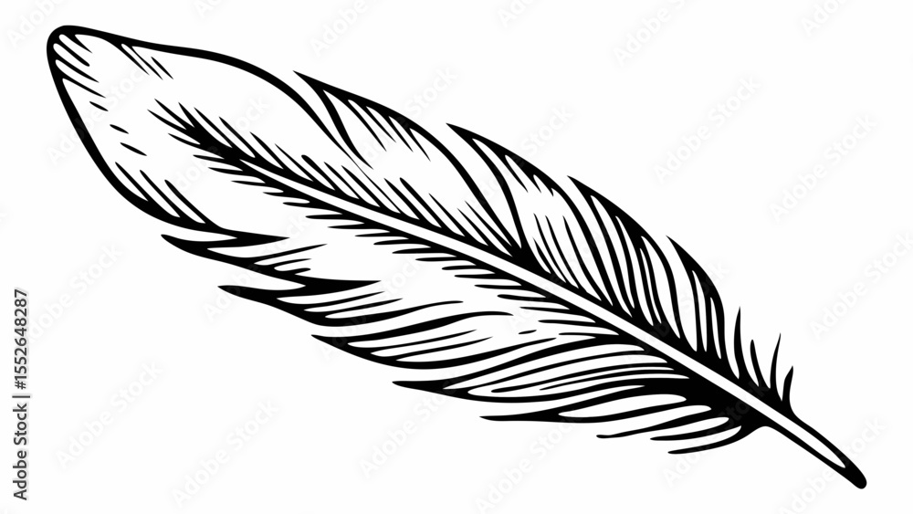 Poster detailed sketch of a single feather with intricate barbs and a sharp quill on a white background cre
