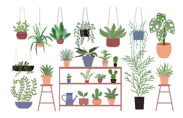 variety plants pots flat design illustration background different indoor space size decoration elements houseplants shelves hanging clipart
