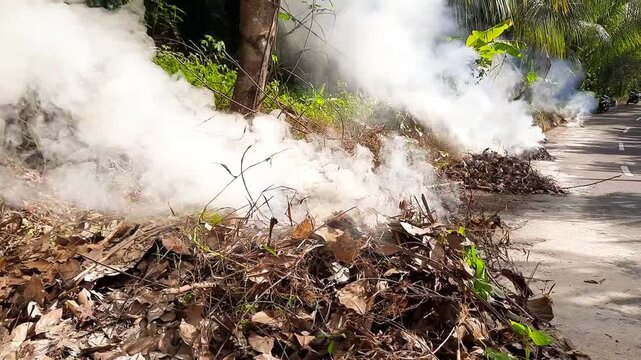 Smoke from Burning Dry Leaves and Grass by the Roadside in Tropical Area