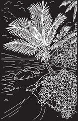 maldives landscape vector sketch on black background chalk. ocean shore vector sketch. tropical landscape vector sketch