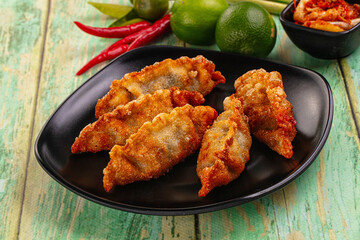 Asian fried stuffed dumplings gyoza