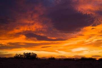 California Desert Sunset