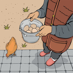 grandma and chickens vector. bucket of eggs vector. egg collection vector