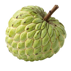 Fototapeta premium Ripe green custard apple fruit with a brown stem isolated on transparent background