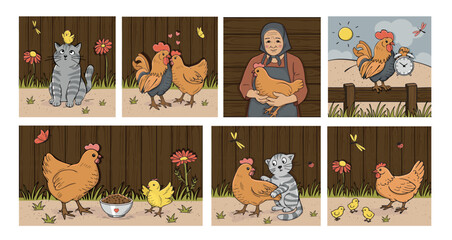 poultry yard illustrations collection vector. chickens vector illustration