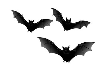 halloween bat and bats