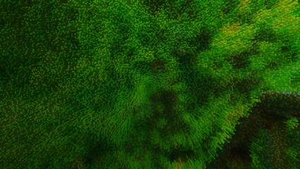 Abstract Green Digital Pattern With Extruded Pixel Effect And Radiating Lines