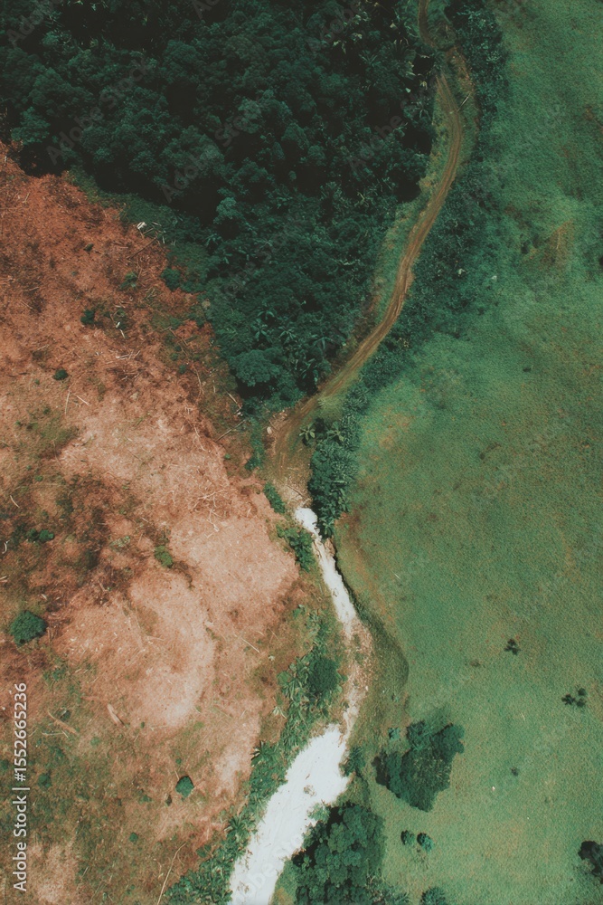 Poster aerial view of abrupt land division showing deforestation and dense forest environmental risk and ur