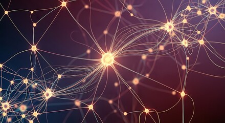 Neuron Network Connection