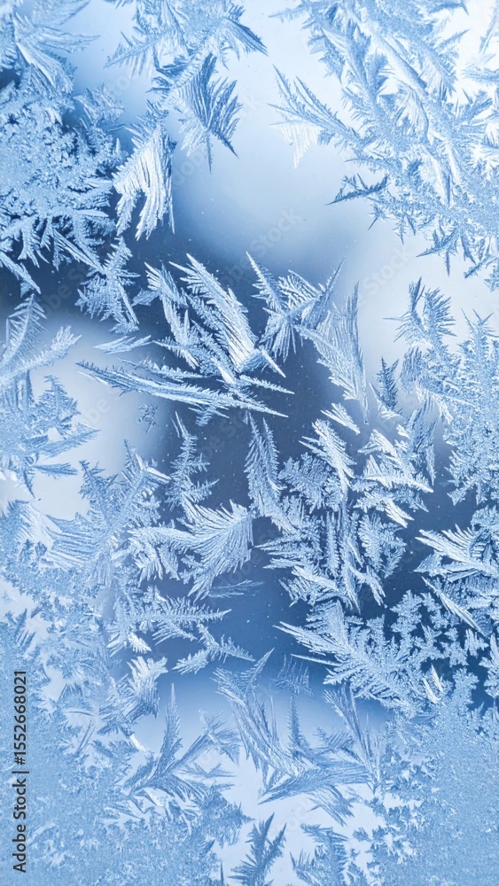 Poster intricate blue frost patterns on a windowpane