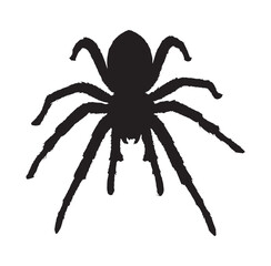 Obraz premium spider silhouette realistic spider vector black and white , spider tattoo