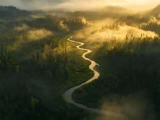 Aerial View of Winding River Flowing Through Dense Forest Shrouded in Morning Mist and Sunlight
misty morning on the river